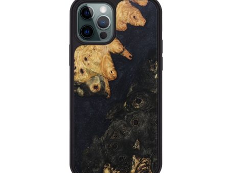 iPhone 12 Pro Wood+Resin Phone Case - Paris (Pure Black, 680306) Supply