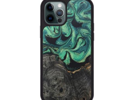 iPhone 12 Pro Wood+Resin Phone Case - Erma (Green, 681565) Online Sale