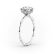 The Eve Set With A 2.5 Carat Princess Moissanite Sale