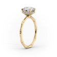 The Eve Set With A 1 Carat Radiant Moissanite Online